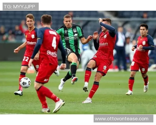 纽卡斯尔喷气机迎战布里斯班狮吼展开激烈对决期待精彩表现